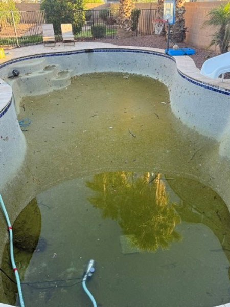 Empty, unclean pool with murky water, surrounded by poolside furniture and landscaping, highlighting the need for a remodel and upgrade to improve aesthetics and functionality.