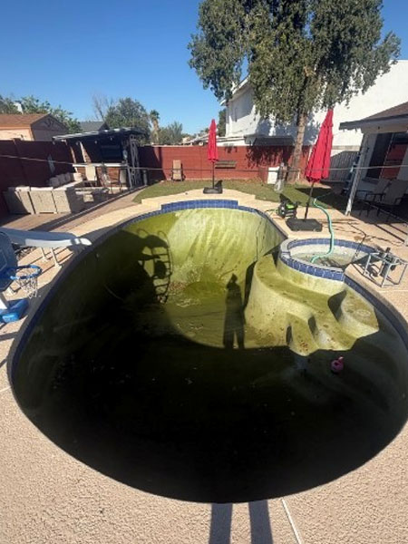 Green, algae-filled swimming pool in residential backyard, showcasing murky water and surrounding cleaning equipment, emphasizing the need for Pelican Pools' green to clean service.