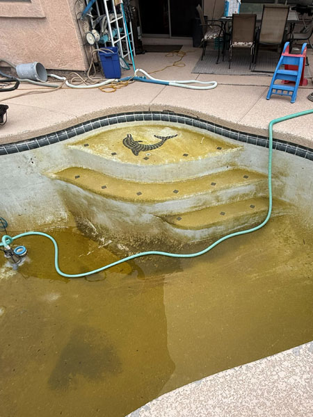 Green, cloudy pool with algae buildup, featuring steps and decorative tile, surrounded by cleaning equipment and furniture, illustrating the need for professional green to clean pool services.